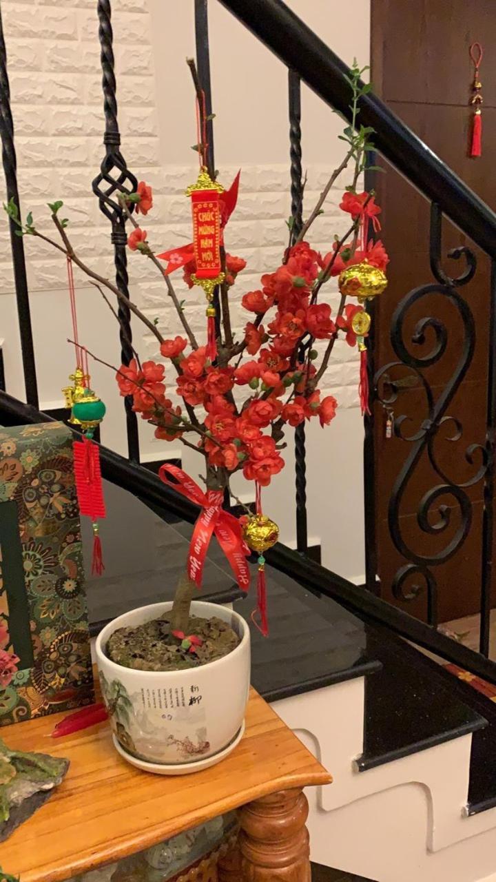 De Daisy Villa Homestay Đà Lạt Extérieur photo