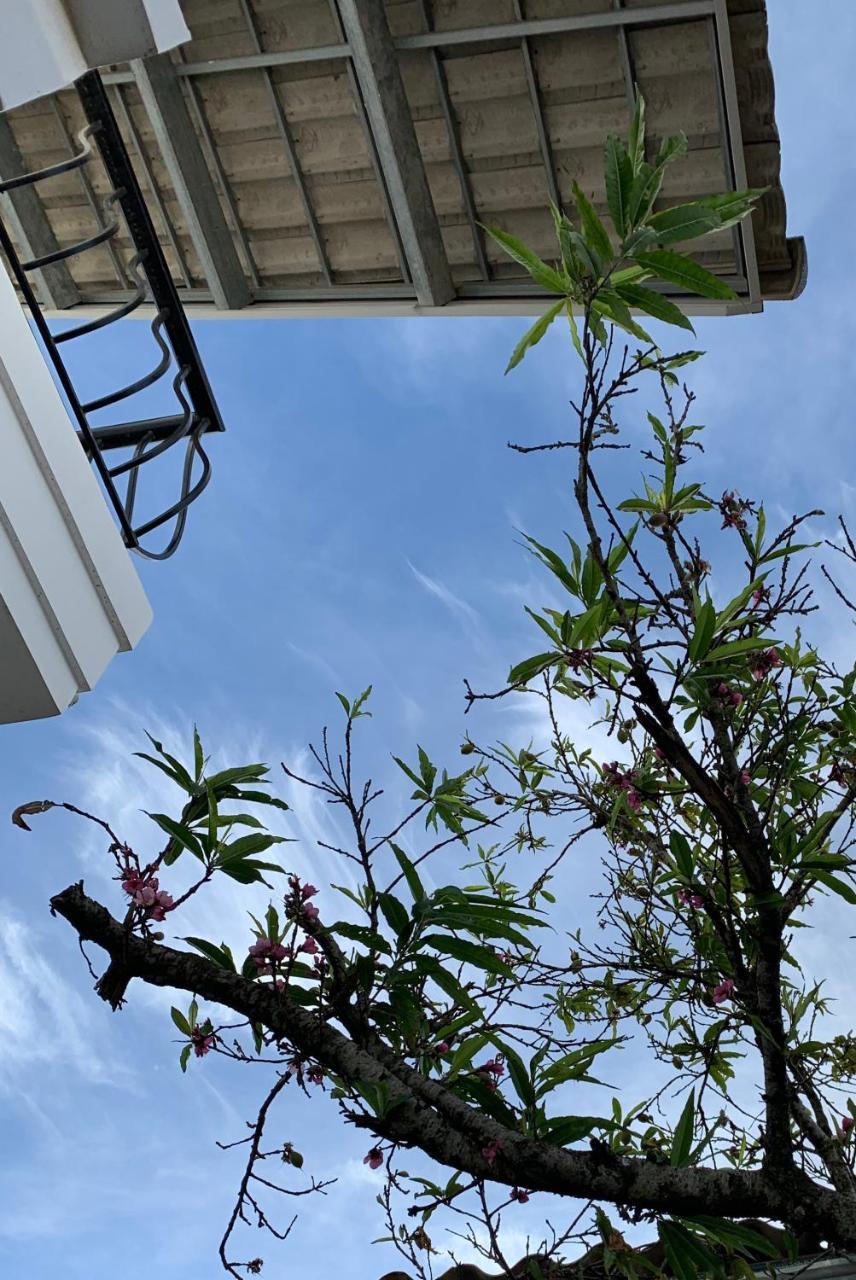 De Daisy Villa Homestay Đà Lạt Extérieur photo