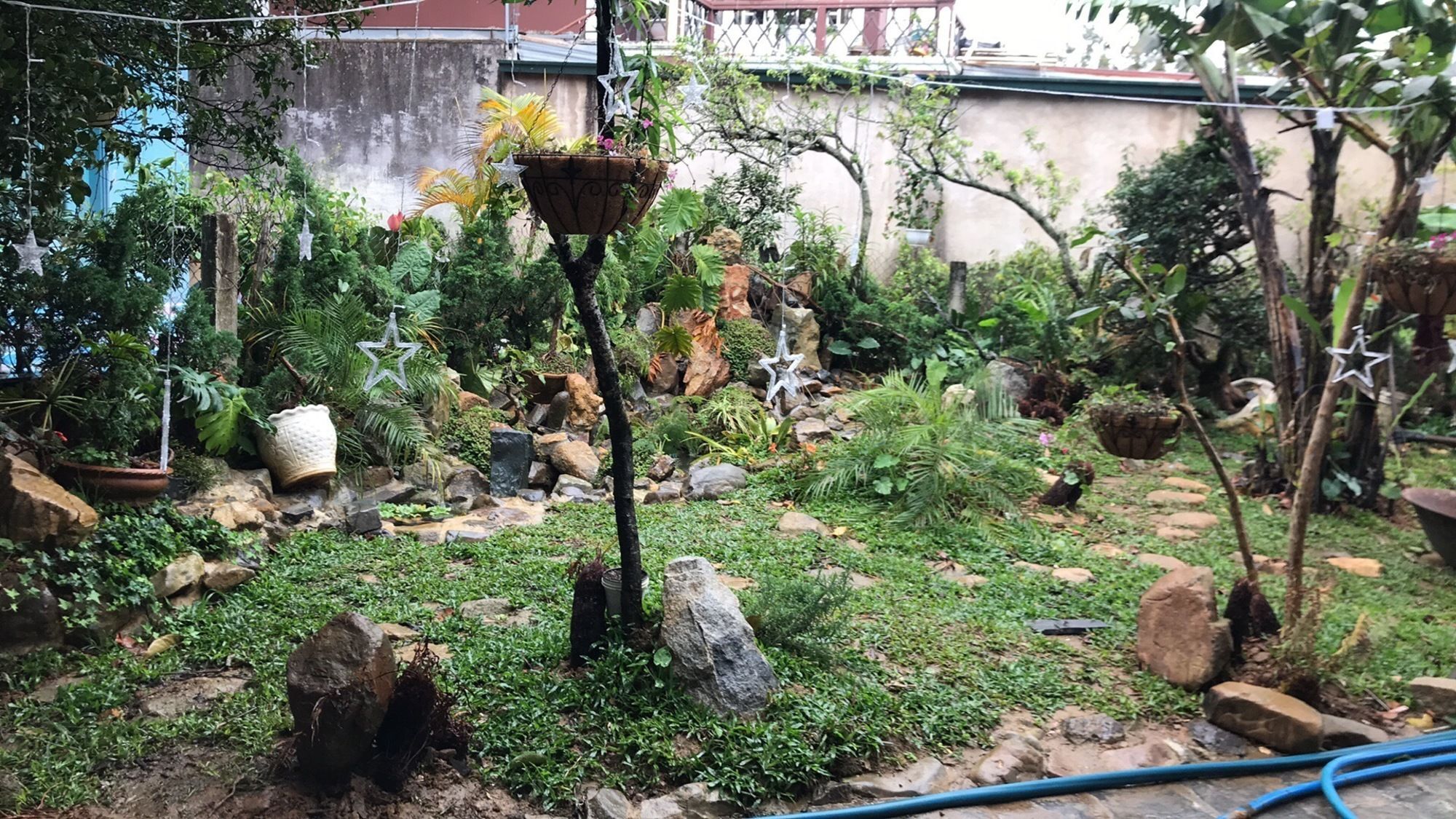 De Daisy Villa Homestay Đà Lạt Extérieur photo